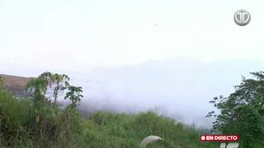 Incendio en Cerro Patacón: Depósito de llantas ha sido controlado.&nbsp;