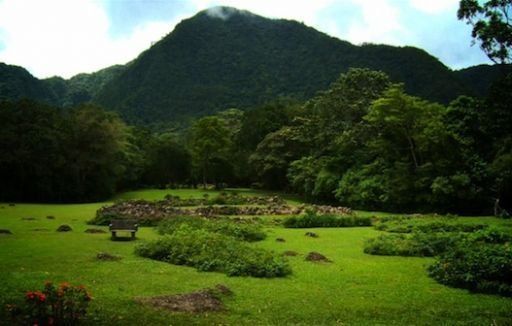 Video: El Níspero hogar de unas 94 especies valiosas para Panamá