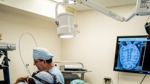 Tortugas de mar aquejadas de tumores abarrotan un hospital de Florida