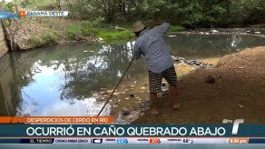 Arrojan restos de cerdos a río en comunidad de La Chorrera