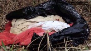 Abrió un cartucho para salvar a un gato