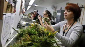 Obama cree que la marihuana no es más peligrosa que el alcohol o el tabaco