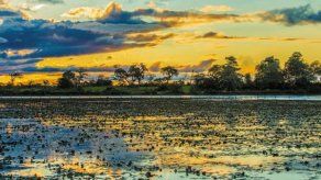 Informe revela lenta destrucción del planeta