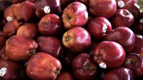 Aupsa vuelve desmentir ingreso de manzanas contaminadas tras rumores falsos del 2015