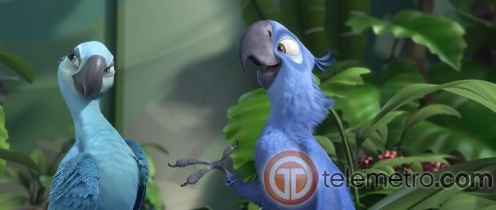 Personajes de la película Rio