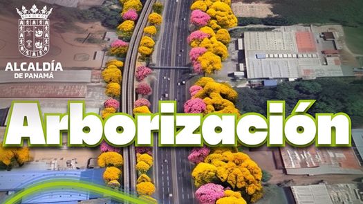 Alcaldía de Panamá realizará jornada de arborización. Alcaldía de Panamá realizará jornada de arborización.