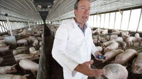 Suben precios de tocino debido a virus