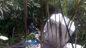 Camión con arroz compita cae a un barranco en vía Chiriquí Grande