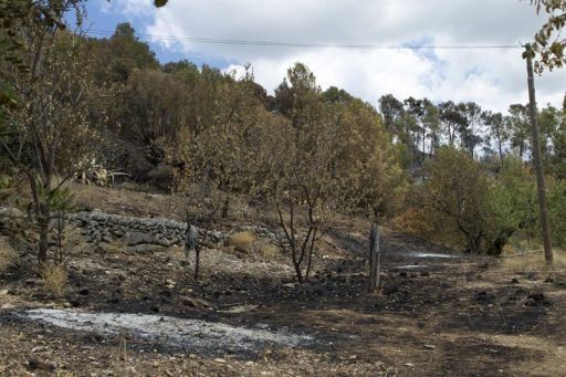 Incendios forestales causan evacuación de más de 2.200 viviendas en EEUU