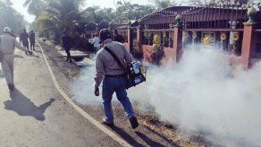 Detallan sobre el lanzamiento el domingo del Día Emblemático contra el Aedes