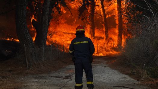 La Unión Europea dio al servicio forestal de Grecia 72 millones de euros este año para ayudar a mantener los bosques y limpiarlos para evitar la propagación de incendios.