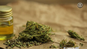 Pacientes aún no tienen acceso a cannabis medicinal en Panamá.