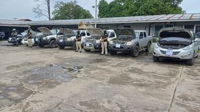 Operación Roedor. Operación Roedor.