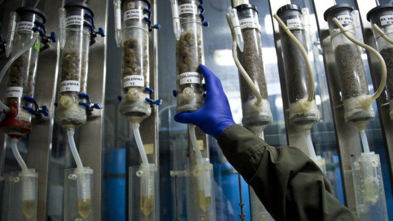 Bacterias, nuevos mineros más amigables y eficientes para extraer cobre