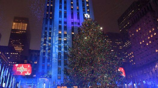 Árbol de Pensilvania adornará Rockefeller Center en Navidad