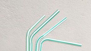 50 establecimientos se unen a la campaña “Sin Carrizo