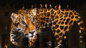 El Vaticano se ilumina en solidaridad del COP21