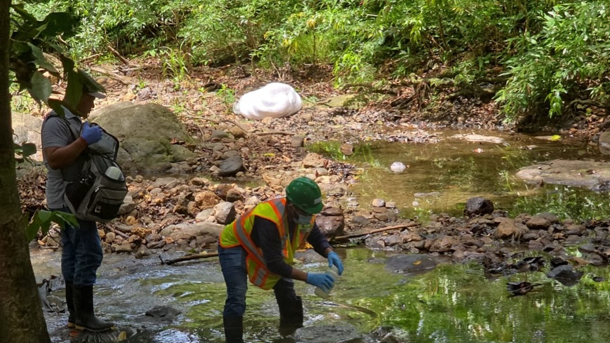 MiAmbiente detecta residuos de hidrocarburos en el río Capira. MiAmbiente detecta residuos de hidrocarburos en el río Capira.