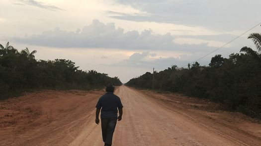 Investigadores y ambientalistas afirman que la pavimentación causará la tala de selva virgen a gran escala, dado que la mayor parte de la deforestación de la Amazonía se da lo largo de los caminos donde el acceso es más fácil y la tierra tiene un valor más alto.