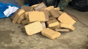 Decomisan 226 paquetes de droga y aprehenden a un extranjero en Veracruz Decomisan 226 paquetes de droga y aprehenden a un extranjero en Veracruz