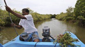 Jardines ofrecen esperanza ante subida de nivel de aguas