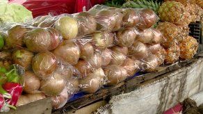 Productores de cebolla esperan cumplimiento de compromiso sobre precios