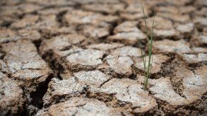 Campesinos hondureños pasan hambre por sequía en Centroamérica