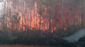 Un hombre en Florida quería quemar libros e incendió 27 estructuras