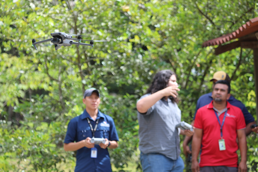 Panamá utilizará drones en contra de la tala ilegal&nbsp;