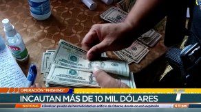 Aprehenden a 40 personas a través de la Operación Phishing