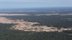 Berlín defiende el bloqueo de fondos para la Amazonía por su deforestación