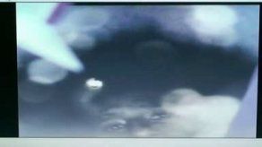 Primeras imágenes de los mineros atrapados en Chile