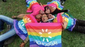 Marcha del orgullo gay en Bolivia pedirá legalizar el matrimonio homosexual