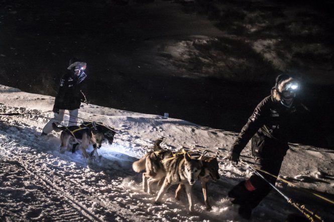 Carrera de trineos tirado por perros La Grande Odisea