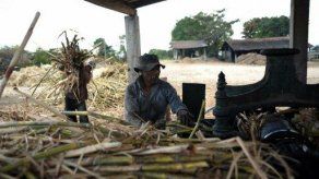 Relatora CIDH reconoce conflictividad por megaproyectos en Guatemala