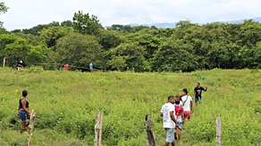 Alcaldía de Panamá desalojará a quienes deseen invadir terrenos municipales