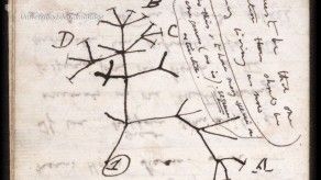 Universidad de Cambridge denuncia el robo de dos cuadernos de Darwin