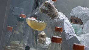 AP - ANDREA RODRÍGUEZ