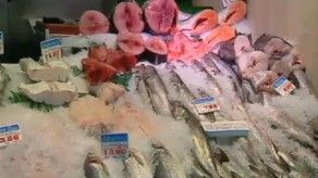 La FAO promueve la erradicación del hambre con el pescado de la acuicultura