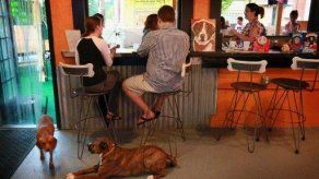 Más empleos ofrecen