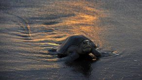 Lanzan Google Special Collects para explorar bellezas naturales de Costa Rica