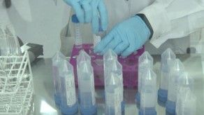 Orgullo y emoción en laboratorio argentino que producirá vacuna contra covid-19