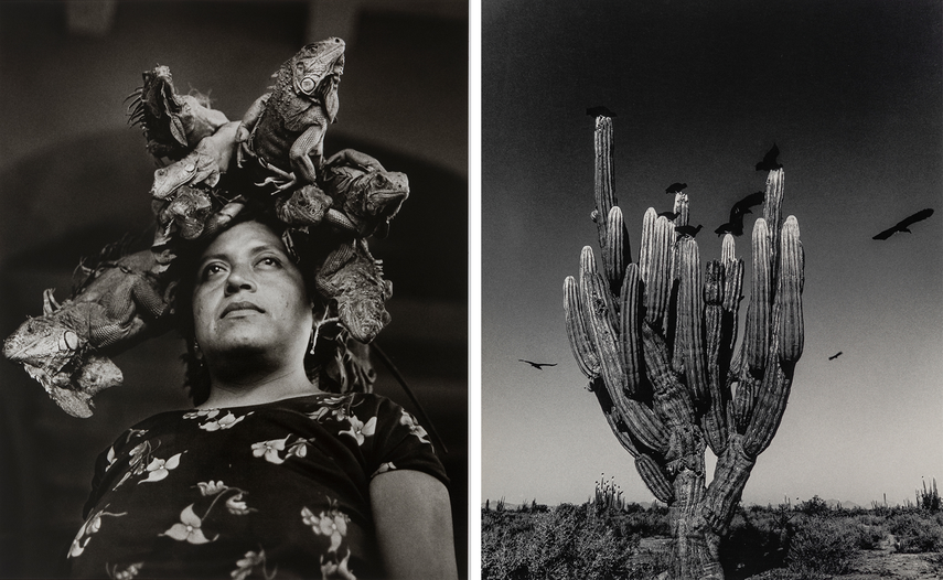 Fotografías de Graciela Iturbide Fotografías de Graciela Iturbide