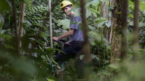 Huracanes crean laboratorios de cambio climático en P.Rico