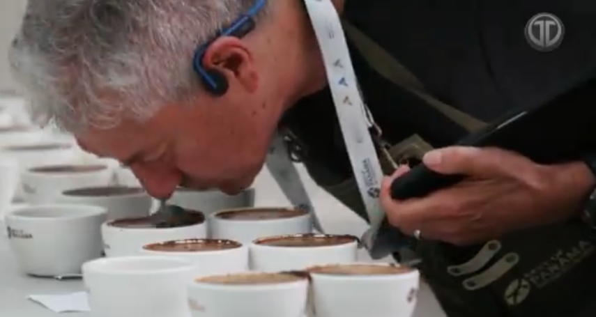 Café panameño Geisha es vendido en una subasta privada