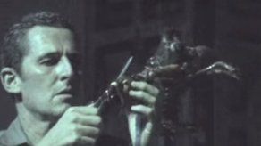 Argentino causa controversia en Francia con espectáculo que mata una langosta