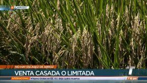 Productores nacionales de arroz niegan que haya escasez de arroz