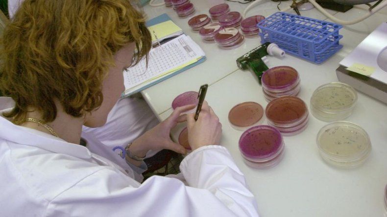 Descubren un mecanismo de las bacterias que potencia su poder patógeno