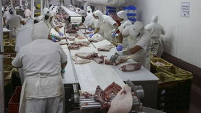 Panamá ha exportado productos a China por sumas millonarias Panamá ha exportado productos a China por sumas millonarias