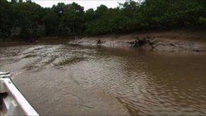Desaparece joven pescador en aguas del Río Caimito en La Chorrera